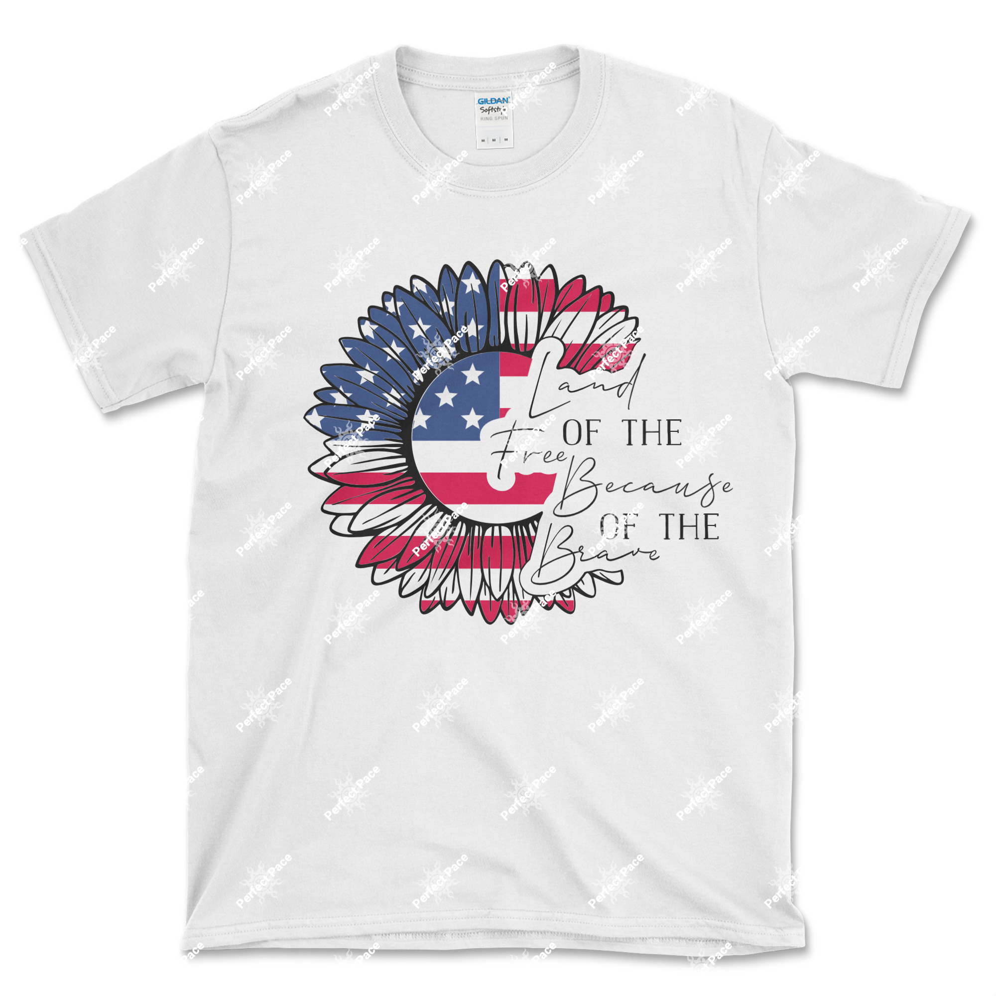 Land of the Free Because of the Brave