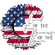 Land of the Free Because of the Brave